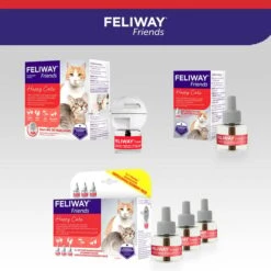 Feliway Friends 30-Tage Nachfüllflakon 48ml 17 Feliway Friends 30-Tage Nachfüllflakon 48ml -Haustierprodukte feliway friends 30 tage nachfullflakon 48ml 8WS5oSWaCUIu8I
