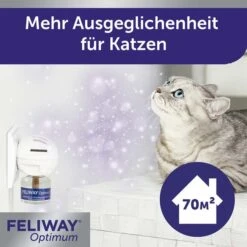 Feliway® Optimum 30-Tage Nachfüllflakon 48 Ml 11 Feliway® Optimum 30-Tage Nachfüllflakon 48 Ml -Haustierprodukte feliway optimum 30 tage nachfullflakon 48 ml 2