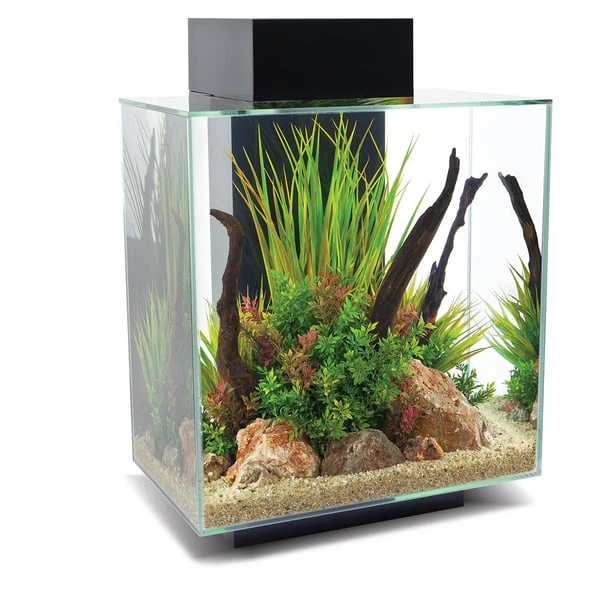Fluval Aquarium Set Edge 2.0 46L 4 Fluval Aquarium Set Edge 2.0 46L – Bild 2
