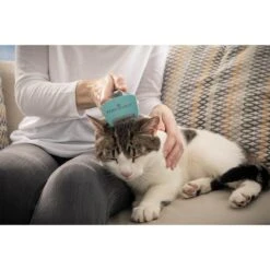 FURminator Katze Kurzhaar Bürste Für Unterwolle 11 FURminator Katze Kurzhaar Bürste Für Unterwolle -Haustierprodukte furminator katze buerste unterwolle s alle