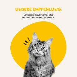 Dogs'n Tiger Genuss Nassfutter Hühnerfilet 13 Dogs'n Tiger Genuss Nassfutter Hühnerfilet -Haustierprodukte futterungsempfehlung katzennassfutter 6tzGF2iZsdvNCM