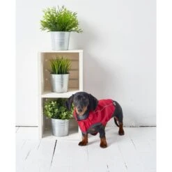 GF Pet Elastofit Regenmantel Rot 13 GF Pet Elastofit Regenmantel Rot -Haustierprodukte gfpet regenmantel rot 6