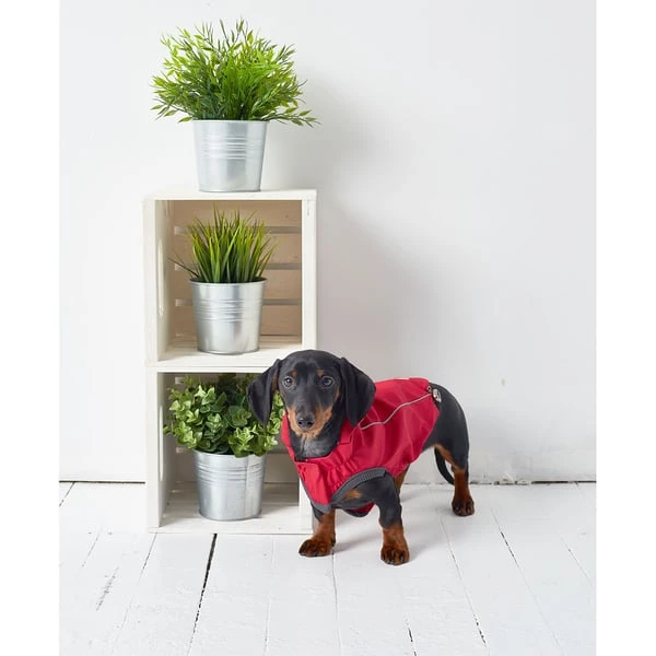 GF Pet Elastofit Regenmantel Rot 8 GF Pet Elastofit Regenmantel Rot – Bild 6