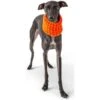 GF Pet Scout Schlauchschal Orange 1 GF Pet Scout Schlauchschal Orange -Haustierprodukte gfpet scout schlauchschal orange 2