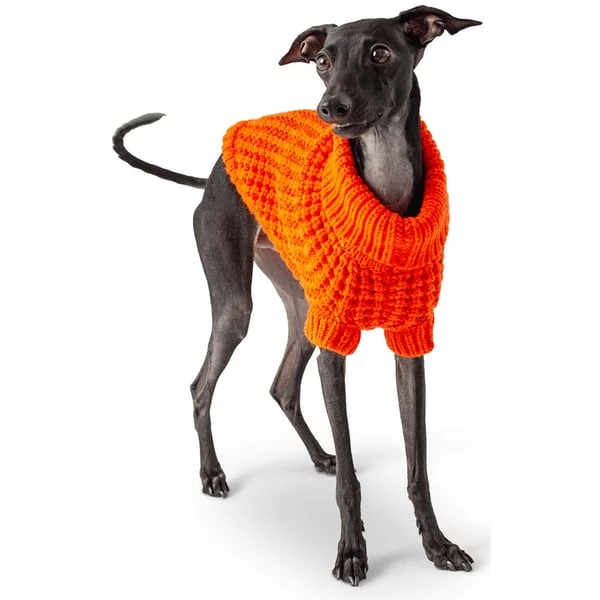 GF Pet Scout Sweater Orange 3 GF Pet Scout Sweater Orange