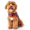 GF Pet Reversible Trail Jacke Burgund -Haustierprodukte gfpet trail jacke burgund 4