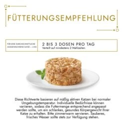 GOURMET Gold Raffiniertes Ragout Mixpaket 96x85g 8 GOURMET Gold Raffiniertes Ragout Mixpaket 96x85g -Haustierprodukte gourmet gold raffiniertes ragout mix paket 96x85g 3