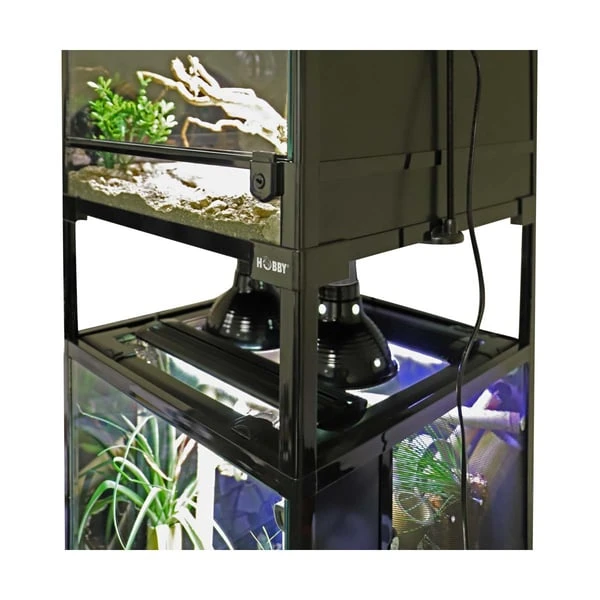 Hobby Faltterrarium Terra Fix & Easy 10 Hobby Faltterrarium Terra Fix & Easy – Bild 8