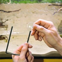 Hobby Turtle Island -Haustierprodukte hobby turtle island 1 4