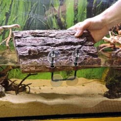 Hobby Turtle Island -Haustierprodukte hobby turtle island 1 5