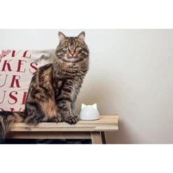 SureFeed Mikrochip Futterautomat Connect + Hub -Haustierprodukte hub 25d316bf24a70a