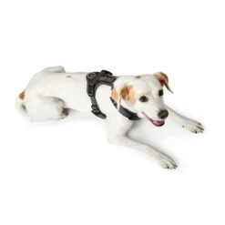 Hunter Geschirr Maldon Braun -Haustierprodukte hunter geschirr maldon braun 4