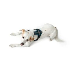 Hunter Geschirr Maldon Petrol 10 Hunter Geschirr Maldon Petrol -Haustierprodukte hunter geschirr maldon petrol 4