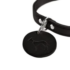 Hunter Halsband Aalborg Schwarz -Haustierprodukte hunter halsband aalborg schwarz 3