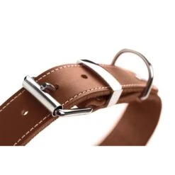 Hunter Halsband Aalborg Special Cognac -Haustierprodukte hunter halsband aalborg special cognac 3