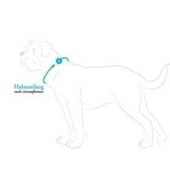 Hunter Halsband Aalborg Schwarz -Haustierprodukte hunter halsumfang608ac54b30b73