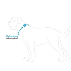 Hunter Halsband Aalborg Special Schwarz -Haustierprodukte hunter halsumfang608ac5627d8bf