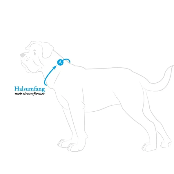 Hunter Halsband Aalborg Cognac 8 Hunter Halsband Aalborg Cognac – Bild 6