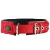 Hunter Neopren Reflect Halsband Rot/schwarz -Haustierprodukte hunter neopren reflect halsband rot schwarz
