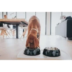 Hunter Napfunterlage Selection Transparent 8 Hunter Napfunterlage Selection Transparent -Haustierprodukte hunter selection napfunterlage 2 stck transparent 3