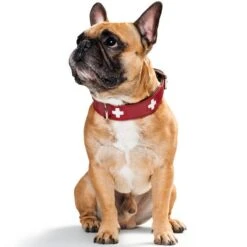 Hunter Swiss Halsband Rot/schwarz -Haustierprodukte hunter swiss halsband rot schwarz 2