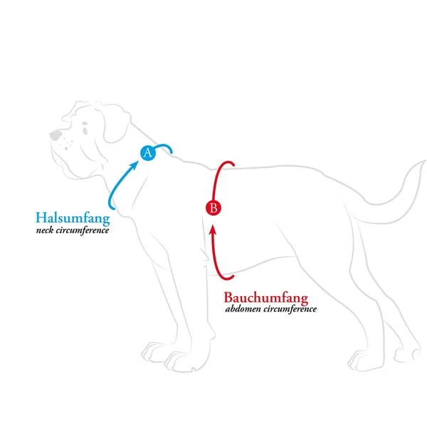 Hunter Geschirr Hilo Comfort Braun 6 Hunter Geschirr Hilo Comfort Braun – Bild 4