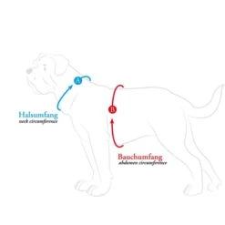 Hunter Geschirr Hilo Comfort Anthrazit 9 Hunter Geschirr Hilo Comfort Anthrazit -Haustierprodukte hunter umfang608ac61ec1ffa