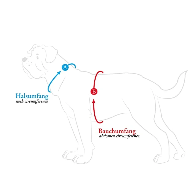 Hunter Geschirr Hilo Comfort Anthrazit 6 Hunter Geschirr Hilo Comfort Anthrazit – Bild 4