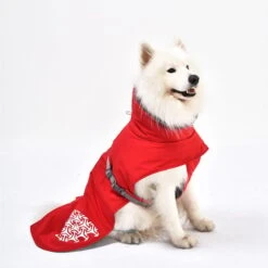 IEnergy JUD Hundewintermantel 13 IEnergy JUD Hundewintermantel -Haustierprodukte ienergy wintermantel jud 5