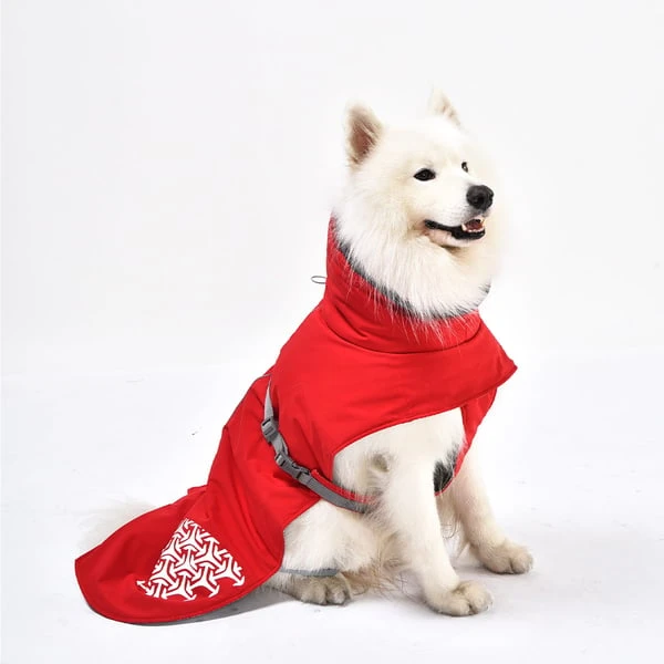 IEnergy JUD Hundewintermantel 6 IEnergy JUD Hundewintermantel – Bild 5