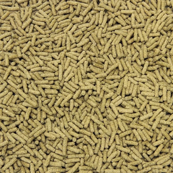 JBL Agil 4 JBL Agil – Bild 2