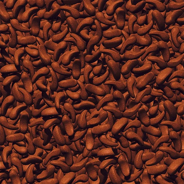 JBL ProPond Shrimp Snack Für Koi 1,0 Kg 5 JBL ProPond Shrimp Snack Für Koi 1,0 Kg – Bild 3