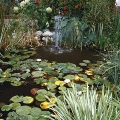 JBL StabiloPond KH 5 JBL StabiloPond KH -Haustierprodukte jbl stabilopond