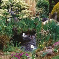 JBL StabiloPond Basis -Haustierprodukte jbl stabilopond basis