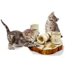 JR Farm Back To Instinct Cat Fun-Park -Haustierprodukte jr cat btI fun park 4