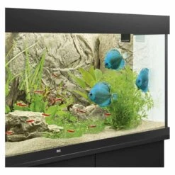 Juwel Motivrückwand Cliff Light -Haustierprodukte juwel motivruckwand cliff light 1