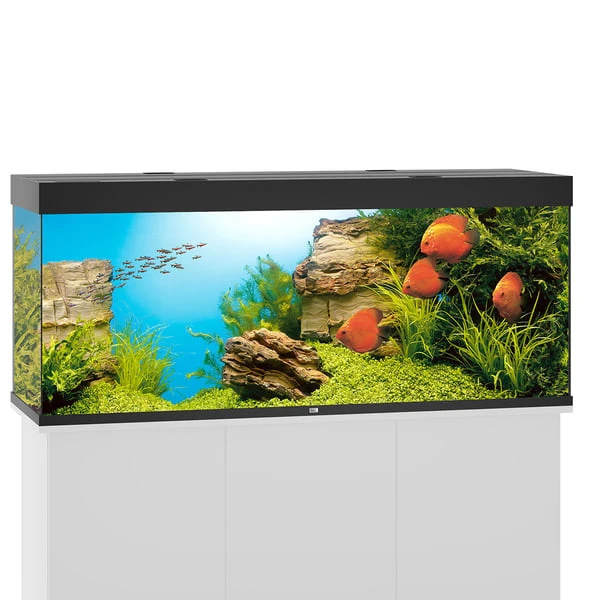 Juwel Rio 450 LED Komplett Aquarium Ohne Schrank 3 Juwel Rio 450 LED Komplett Aquarium Ohne Schrank