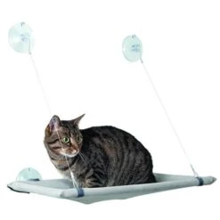 Karlie Katzen Hängematte Für Fenster