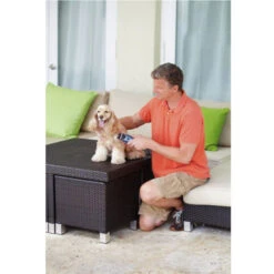 Oster® Oster Heimtierschermaschinen-Set 220V 9 Oster® Oster Heimtierschermaschinen-Set 220V -Haustierprodukte kerbl oster heimtierschermaschinen set 4