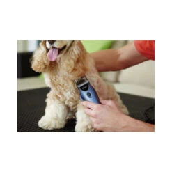 Oster® Oster Heimtierschermaschinen-Set 220V 8 Oster® Oster Heimtierschermaschinen-Set 220V -Haustierprodukte kerbl oster heimtierschermaschinen set 5