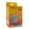 Lucky Reptile Halogen Sun 2 Lucky Reptile Halogen Sun -Haustierprodukte lucky reptile halogen sun 75w 1