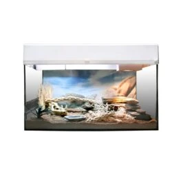 Lucky Reptile Terrarium Starter Kit 50 Cm "Wüstengecko" 8 Lucky Reptile Terrarium Starter Kit 50 Cm "Wüstengecko" -Haustierprodukte lucky reptile terrarium starter kit 50 cm wustengecko weiss 1