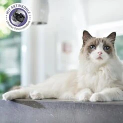 ZooRoyal Tigrooo Multi-Cat -Haustierprodukte multicat 2