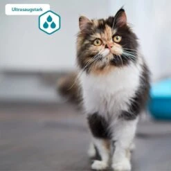 ZooRoyal Tigrooo Multi-Cat -Haustierprodukte multicat 3