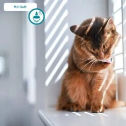 ZooRoyal Tigrooo Multi-Cat -Haustierprodukte multicat 7