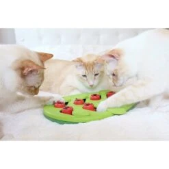 Nina Ottosson Puzzle & Play Buggin Out Intelligenzspielzeug -Haustierprodukte nina ottosson inteligenz spielzeug buggin out web 7