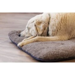 Petlando Hundekissen Chillermat Stone 5 Petlando Hundekissen Chillermat Stone -Haustierprodukte petlando chillermat emoNFSwc4Bnanb3q