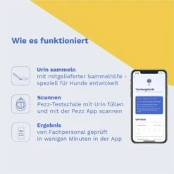 Pezz Urintest Kit Für Hunde 10 Pezz Urintest Kit Für Hunde -Haustierprodukte pezz urintest kit fur hunde 3
