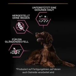 PRO PLAN Large Athletic Adult Sensitive Skin Lachs 12 PRO PLAN Large Athletic Adult Sensitive Skin Lachs -Haustierprodukte pro plan large athletic adult sensitive skin lachs 3