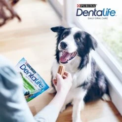 PURINA DENTALIFE Tägliche Zahnpflege-Snacks Für Mittelgroße Hunde 12 PURINA DENTALIFE Tägliche Zahnpflege-Snacks Für Mittelgroße Hunde -Haustierprodukte purina dentalife tagliche zahnpflege snacks fur mittelgrosse hunde 5